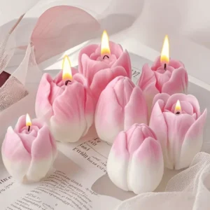 Molde Tulipan
